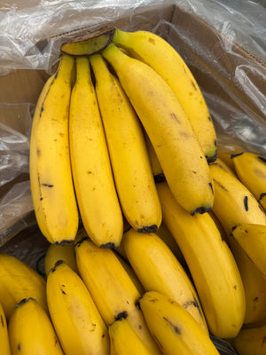 Cavendish Banana