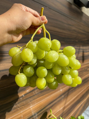 Premium Sweet Globe Green Grapes