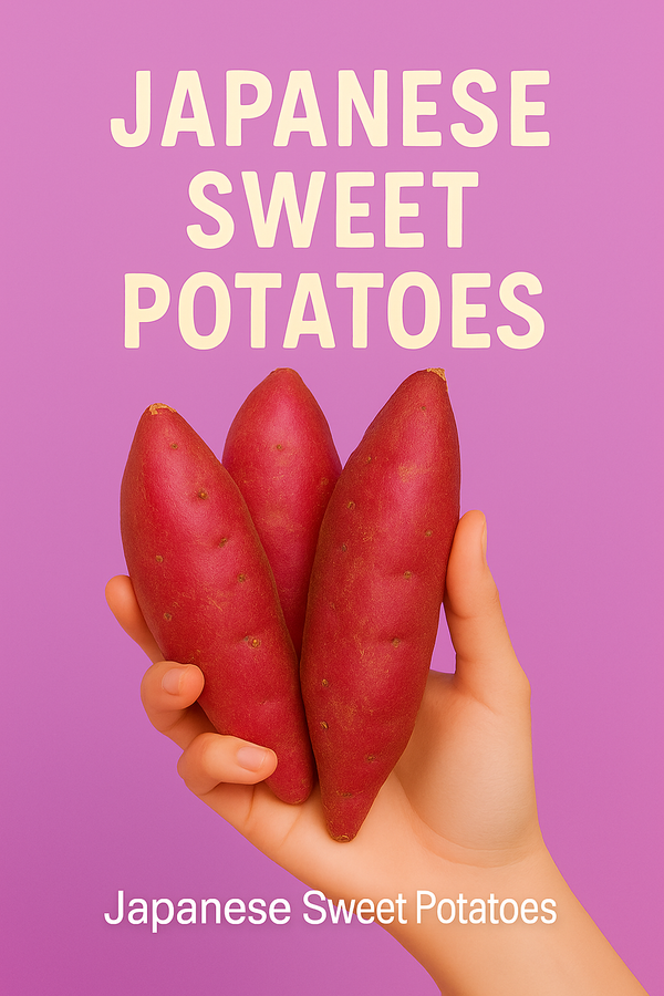 Japanese Sweet Potato (sold per pc)