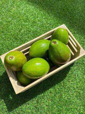 Local Avocado