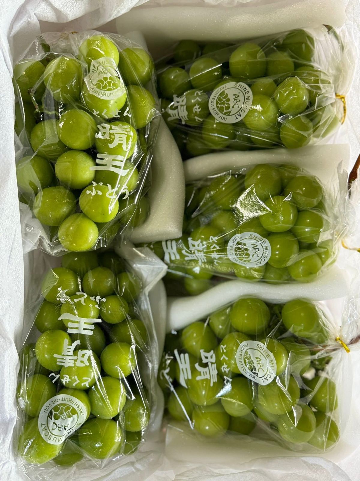 Premium Muscat in Trays