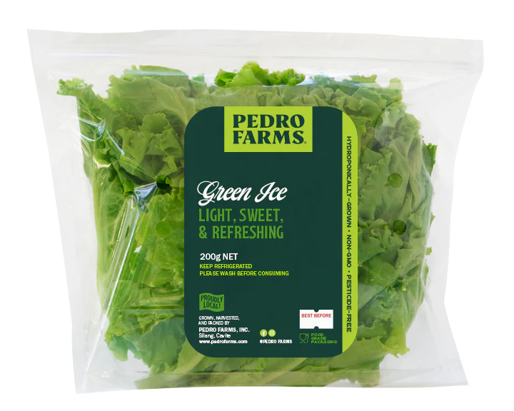 Green Ice Lettuce (sold per pack)