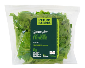 Green Ice Lettuce (sold per pack)