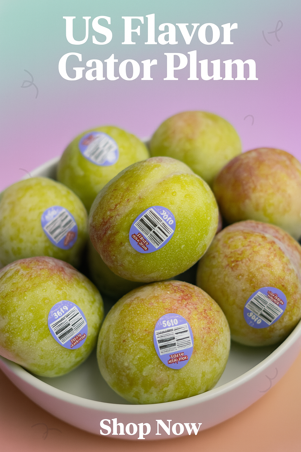 US Flavor Gator Plum