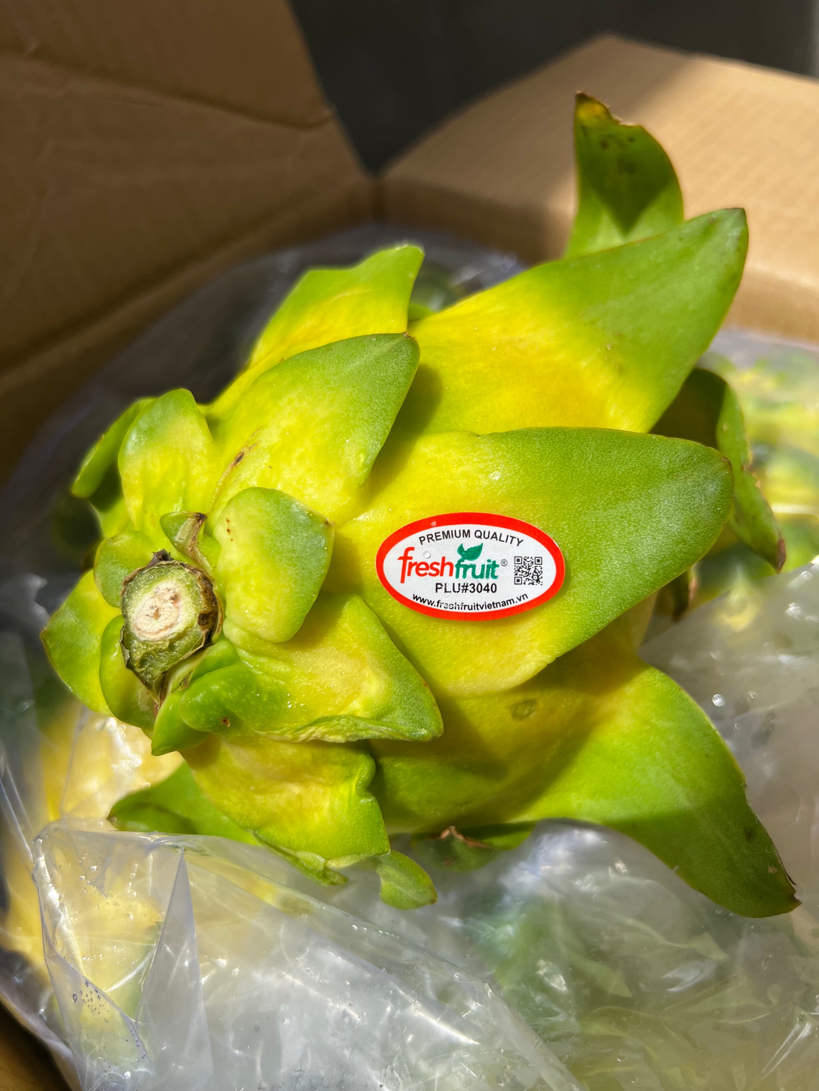 Yellow Dragonfruit (sold per pack)