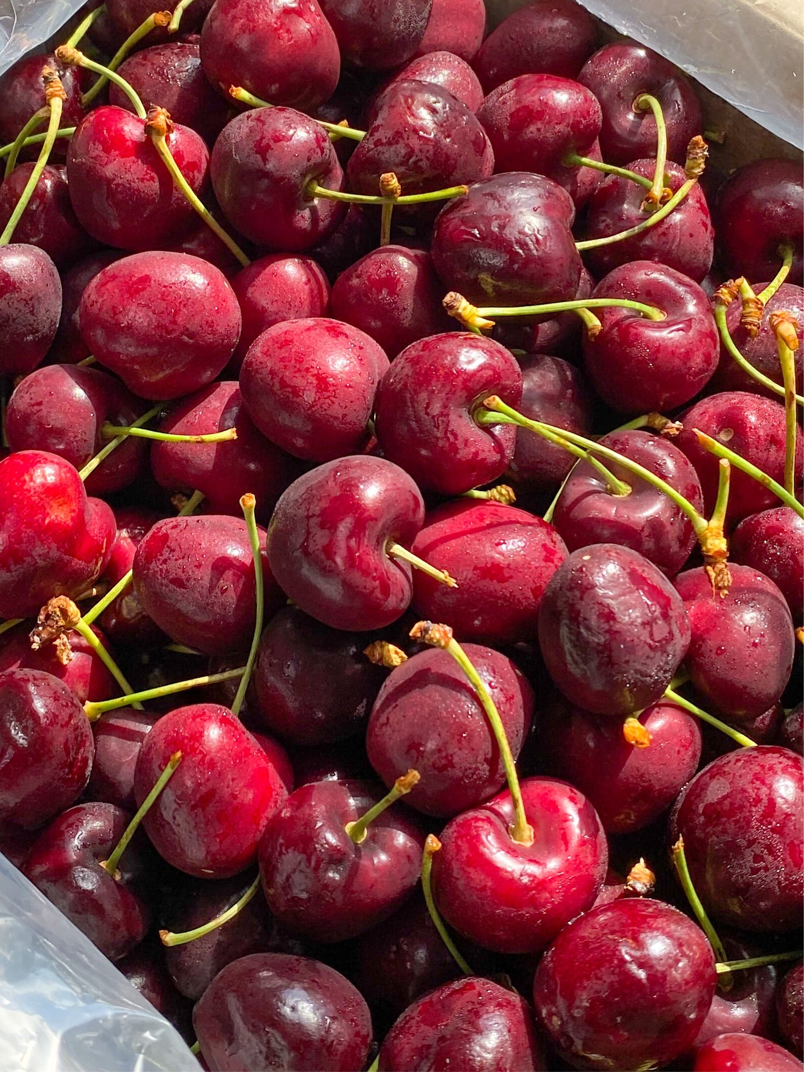 Buy 2kg Red Cherries for Php 3800