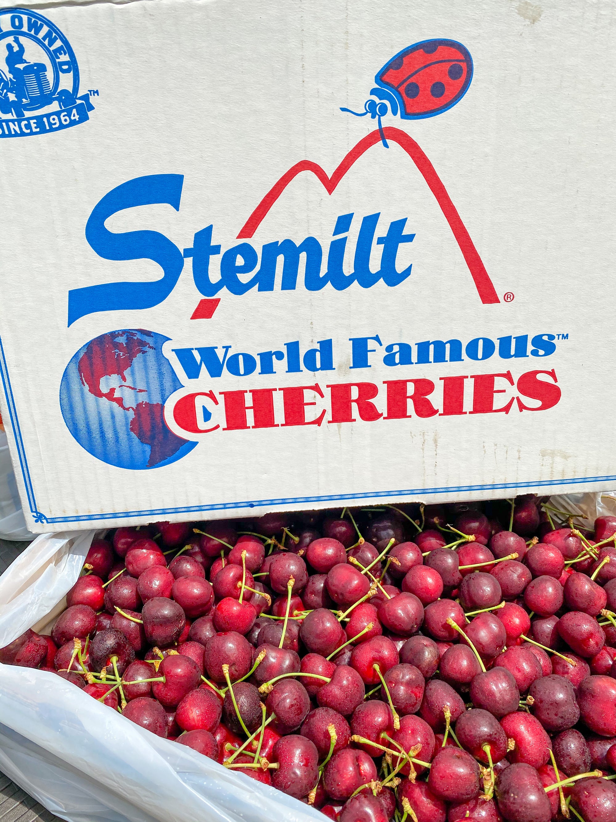 Premium US Red Cherries By The Box 5kg (Stemilt)