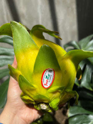 Yellow Dragonfruit (sold per pack)