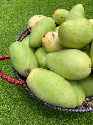 Buy 2KG Guimaras Mangoes (Approx 3pcs per 1kg) Semi Ripe to Ripe for 600