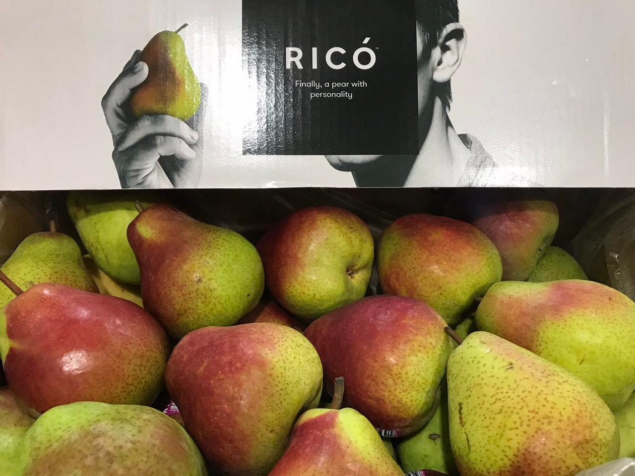 US Rico Pears (sold per set)