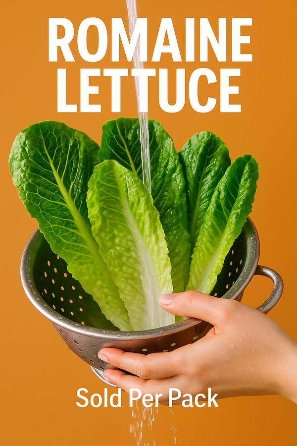 Romaine Lettuce (sold per pack)