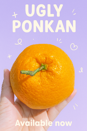 Ugly Ponkan