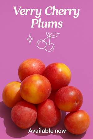US Verry Cherry Plums
