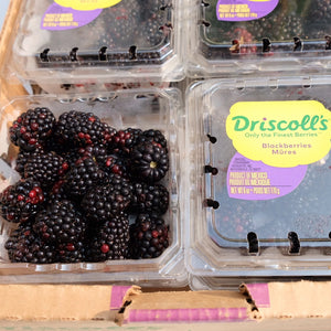 Driscoll's Blackberries By The Box