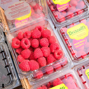 Driscoll's Raspberries By The Box