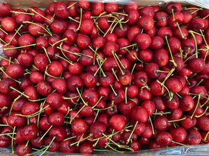 Premium US Red Cherries