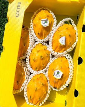 Yellow Dragonfruit (sold per pack)