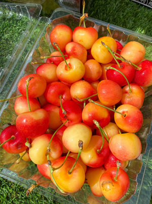 Rainier Gold Cherries