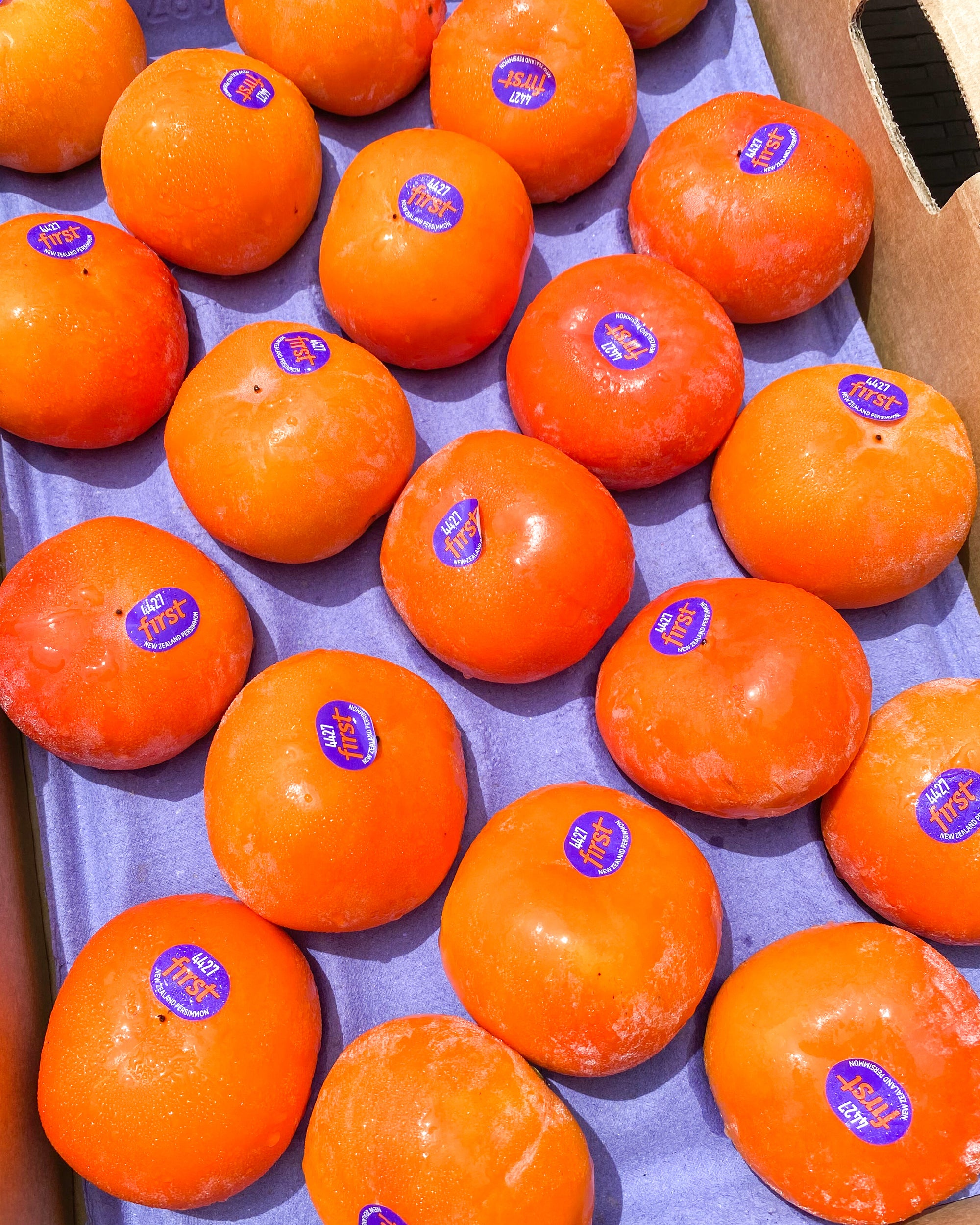 NZ Persimmons 5 + 1 FREE
