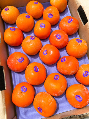 NZ Persimmons BIG By The Box (18pcs)