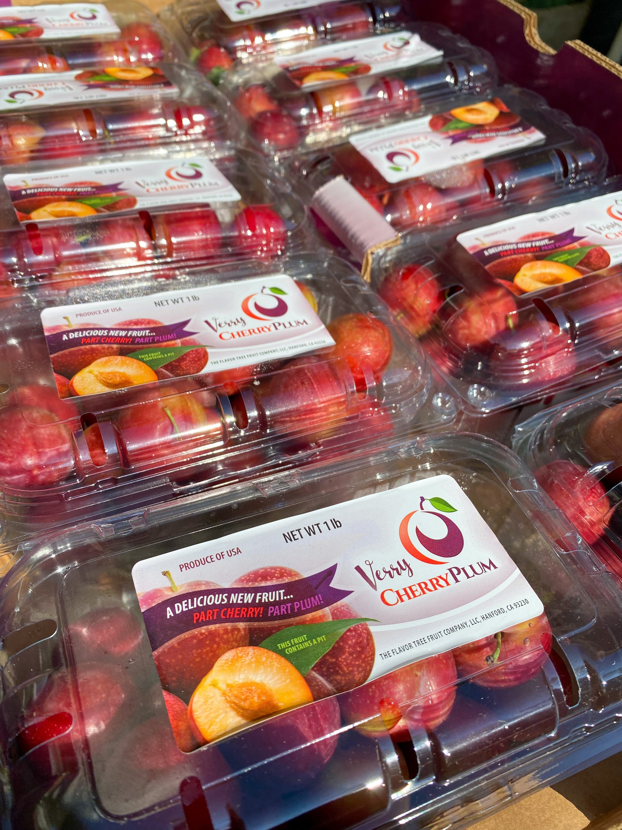 Buy 2 US Verry Cherry Plums for Php 1200