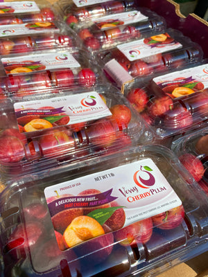 Buy 2 US Verry Cherry Plums for Php 1200