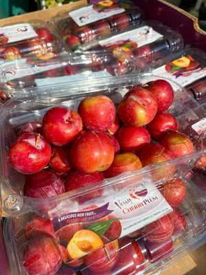 Buy 2 US Verry Cherry Plums for Php 1200