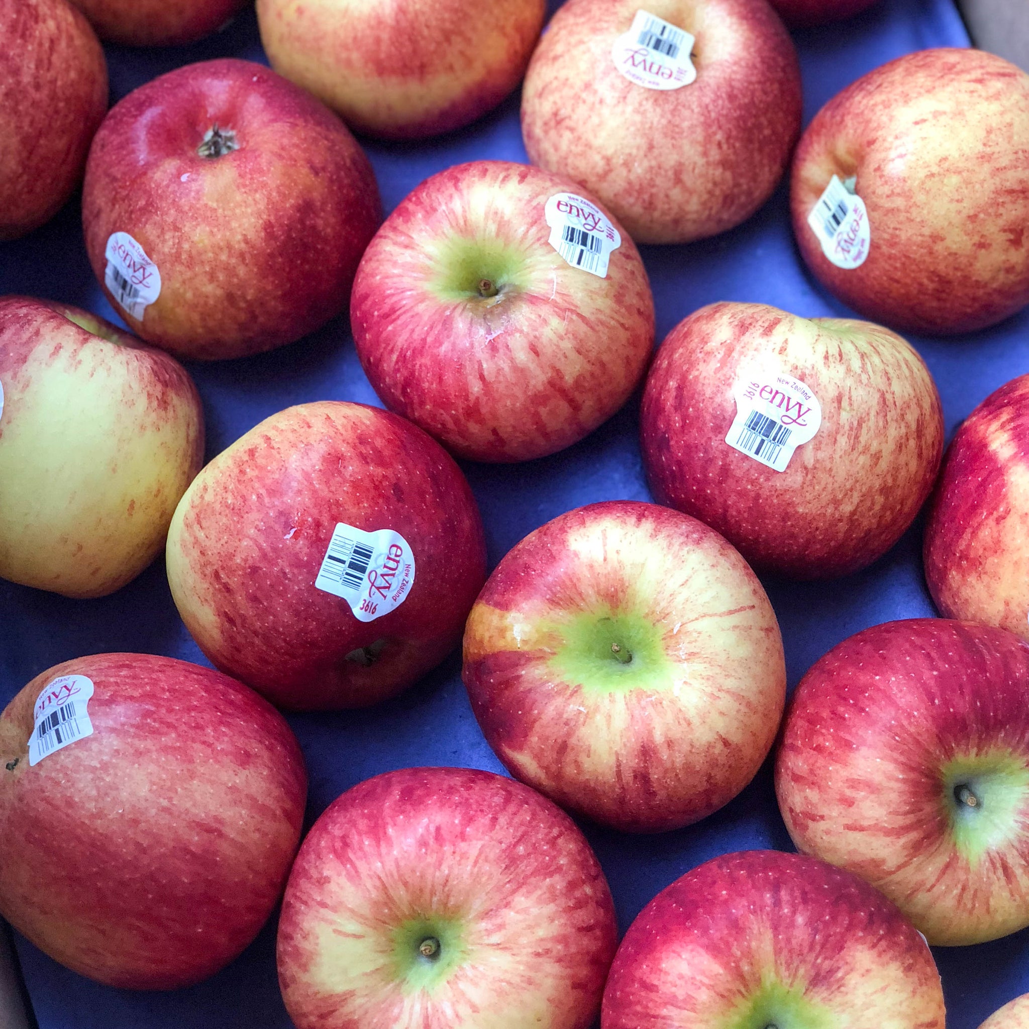 New Zealand Envy Apple (4pcs) - Skcfruits