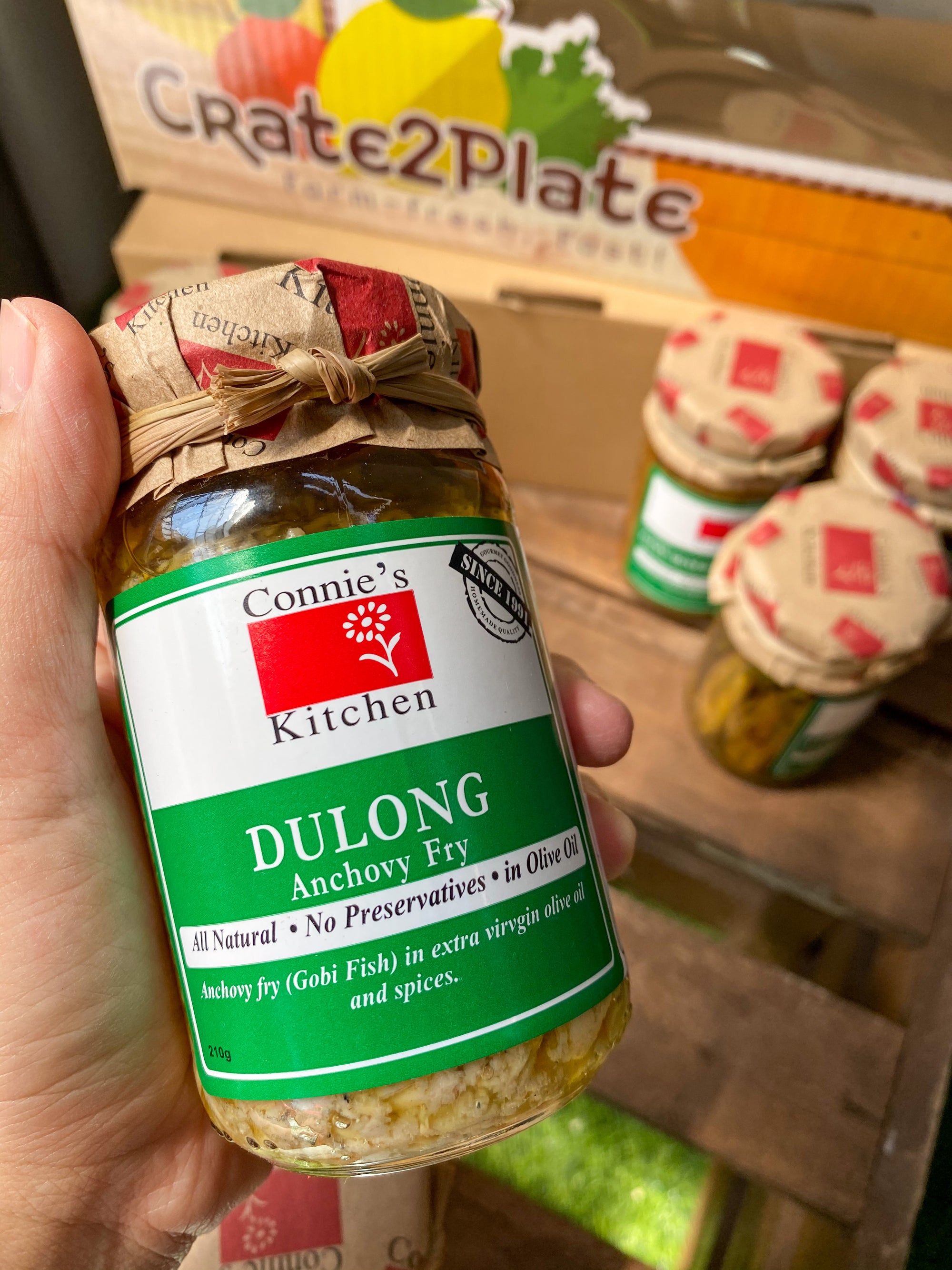 Dulong (Anchovy Fry) Olive Oil