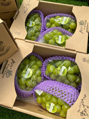 Korean Shine Muscat Grapes (sold per pack)