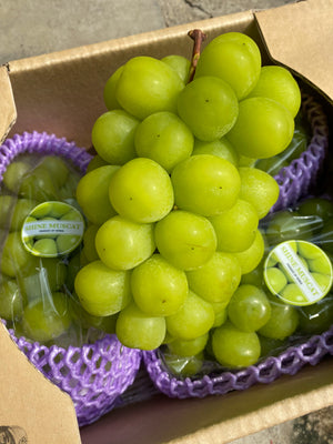 Korean Shine Muscat Grapes (sold per pack)