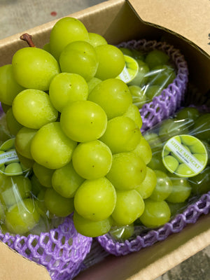 Korean Shine Muscat Grapes (sold per pack)