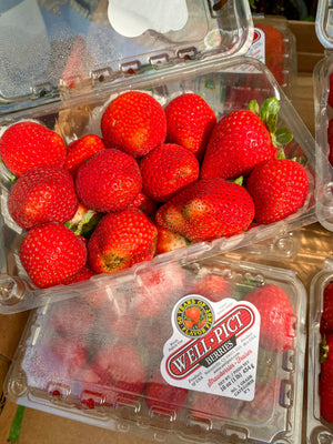 US Well-Pict Strawberries 454g