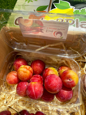 US Verry Cherry Plums