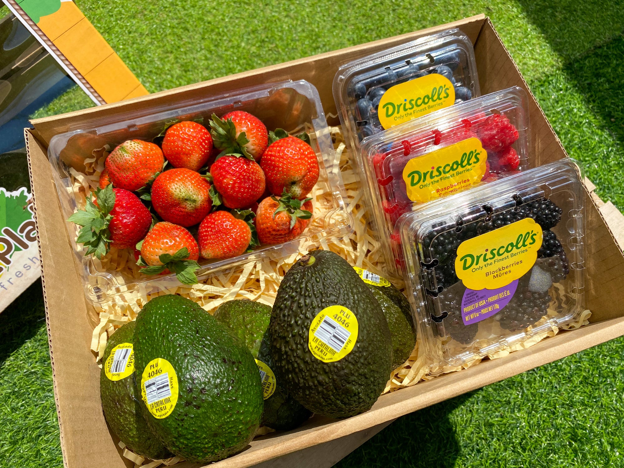 Gift Box 4 Berry Medley and Dole Hass Avocado