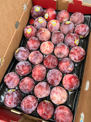 US Summer Punch Plum