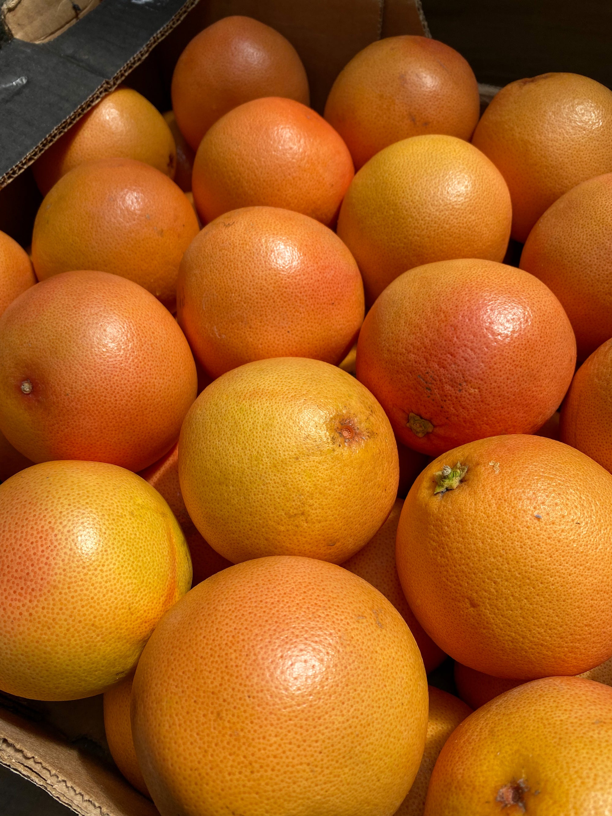 South Africa Grapefruit Buy 5 + 1 FREE