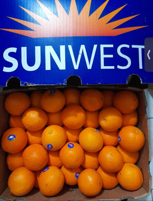 Premium Sunkist Navel Oranges By The Box (88pcs)