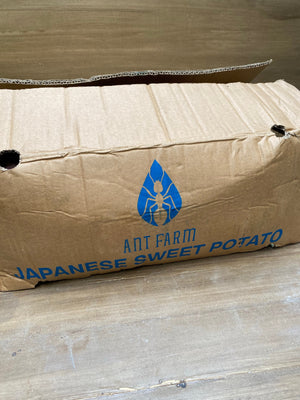 Japanese Sweet Potatoes By The Box 2.5kg