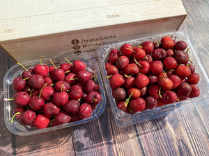 Premium US Red Cherries By The Box 5kg