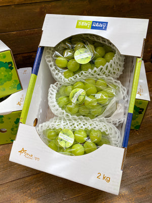 Korean Shine Muscat Grapes By The Box (2packs per box)