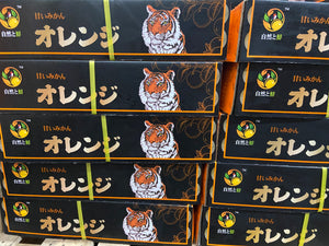 Japan Mandarin Ponkan (sold per pack)