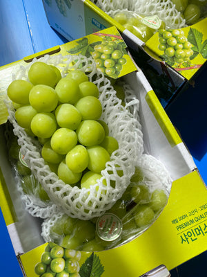 Korean Shine Muscat Grapes (sold per pack)