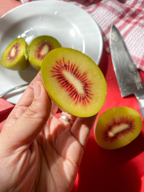 Red Kiwi