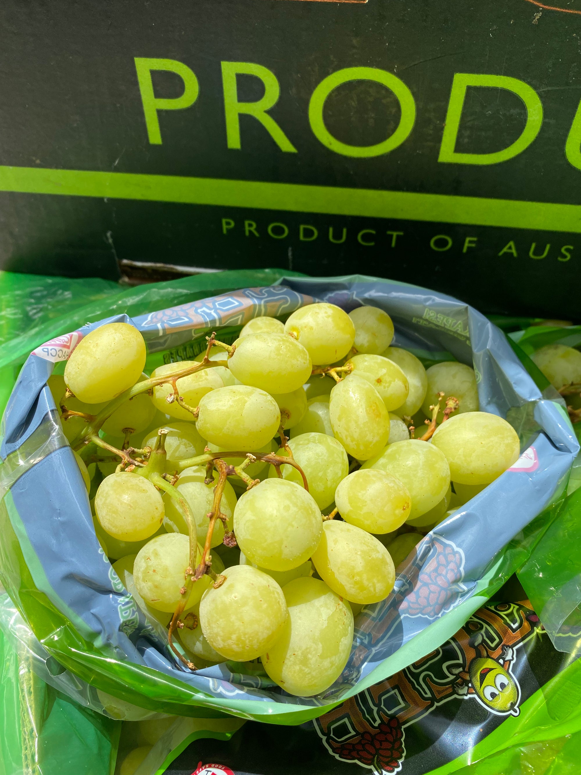 Airflown Aussie Green Seedless Grapes