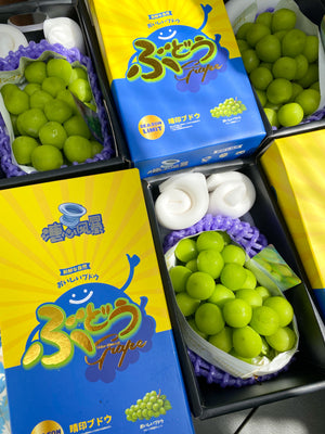 Premium Shine Muscat in Solo boxes