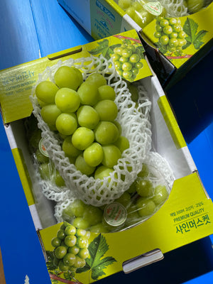 Korean Shine Muscat Grapes (sold per pack)