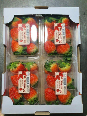 Buy 2 Korean Strawberries 250g for Php 950