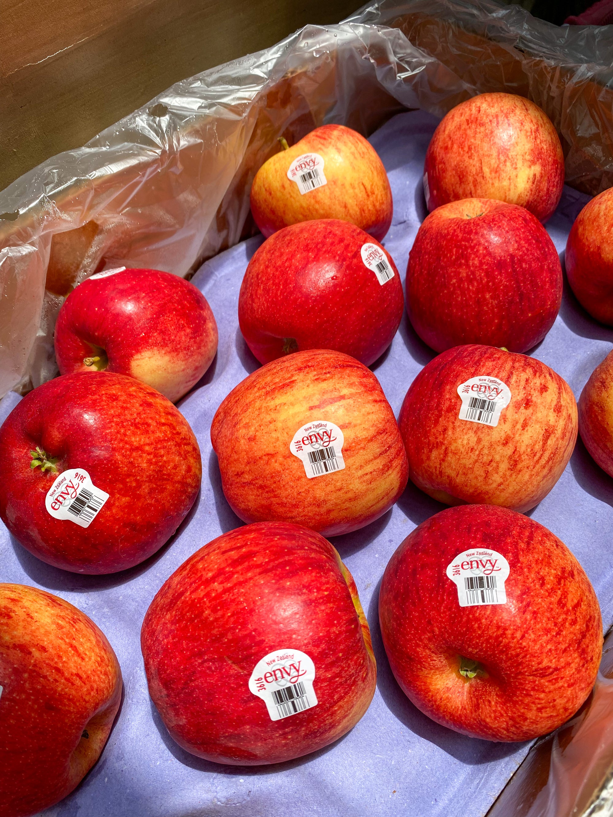 NZ Envy Apples Regular Size By The Box 70pcs