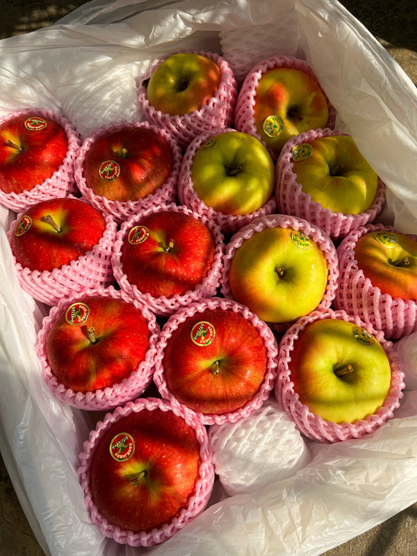 Japan Aomori Apples Gift Box